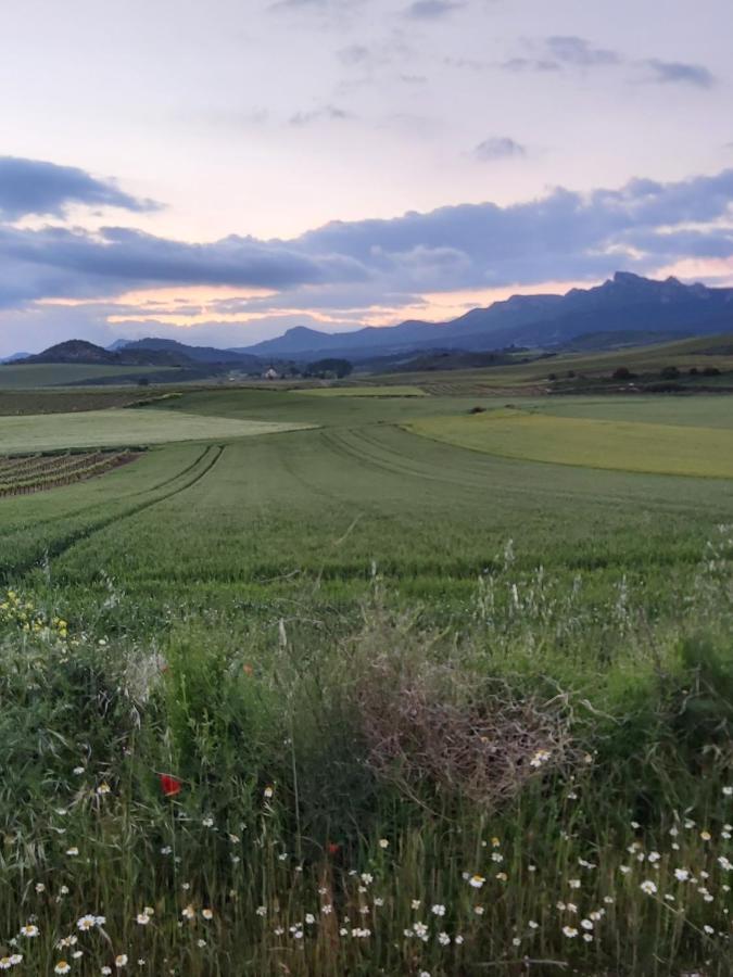 Durmiendo Como Reyes En La Rioja Cihuri Buitenkant foto
